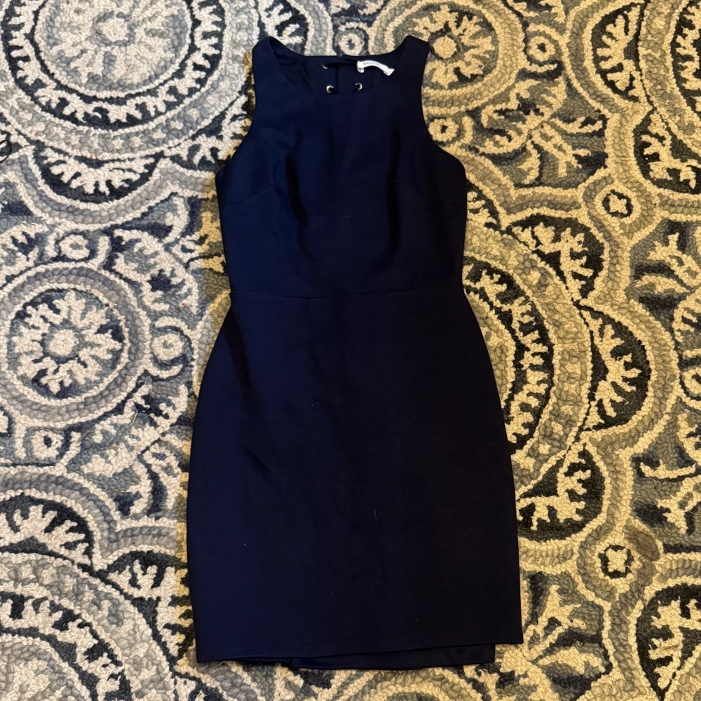 Bailey 44 Lace Up Back Mini Dress